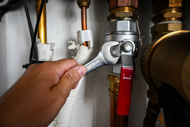 Best Shower Repair Services  in Melcher Dallas, IA
